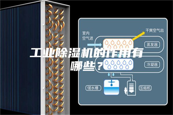 工業除濕機的作用有哪些？
