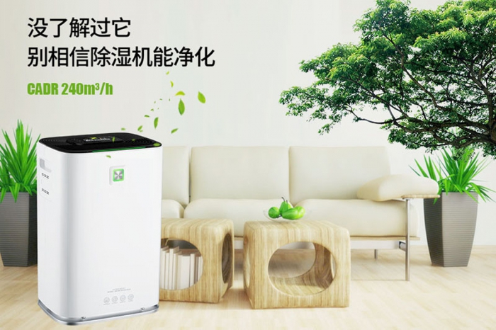 清明防潮大作戰，這些你都知道嗎？