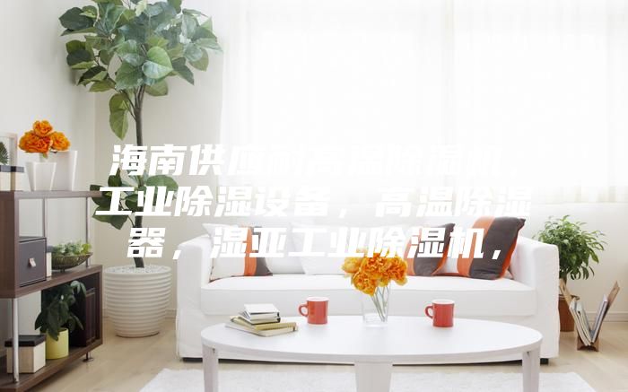 海南供應耐高溫除濕機，工業除濕設備，高溫除濕器，濕亞工業除濕機，