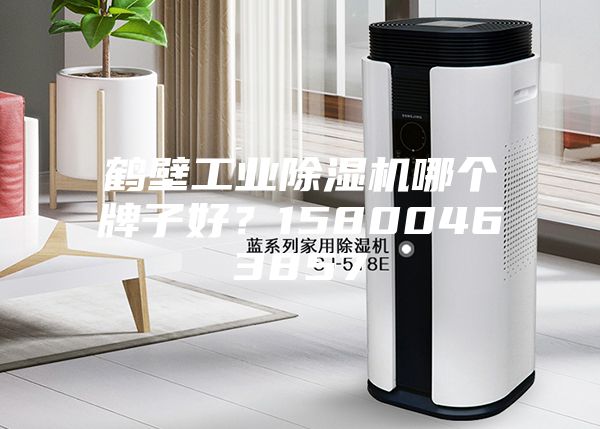 鶴壁工業除濕機哪個牌子好？15800463857