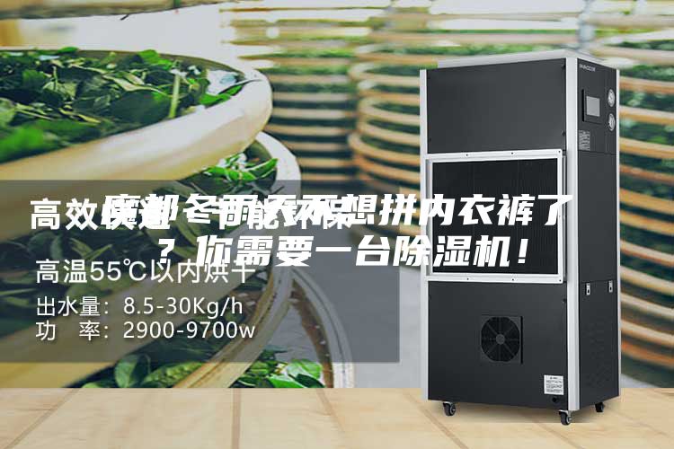 魔都冬雨天不想拼內衣褲了？你需要一臺除濕機！