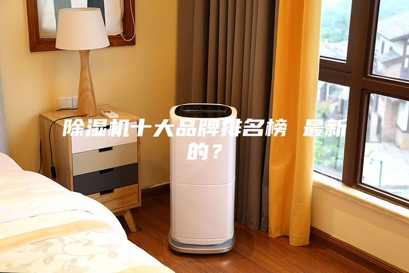 除濕機十大品牌排名榜 最新的？