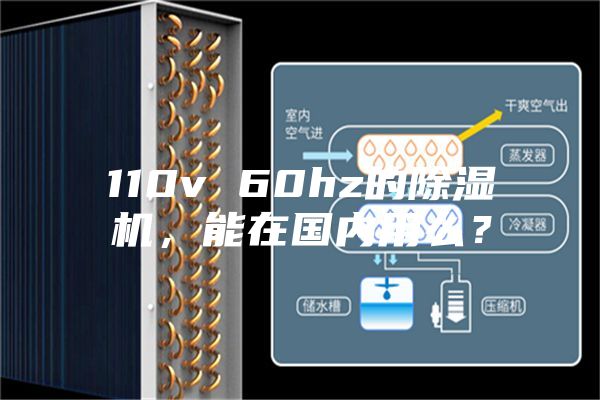 110v 60hz的除濕機，能在國內(nèi)用么？