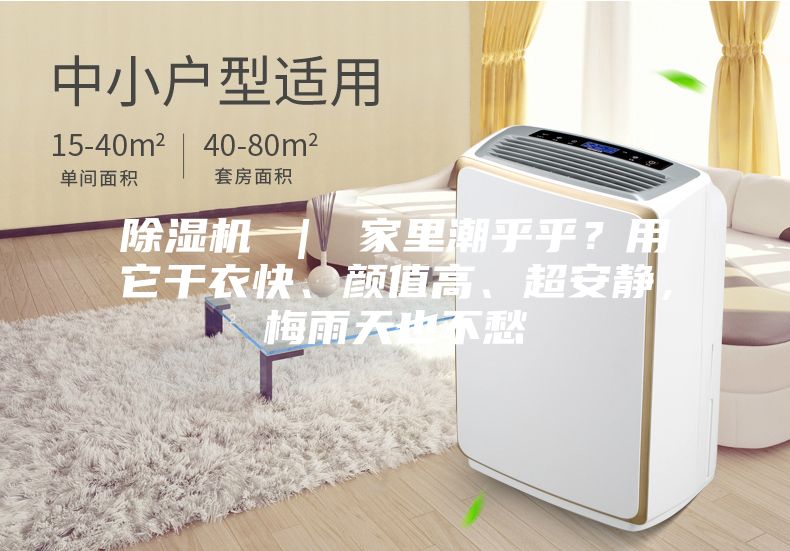 除濕機 ｜ 家里潮乎乎？用它干衣快、顏值高、超安靜，梅雨天也不愁