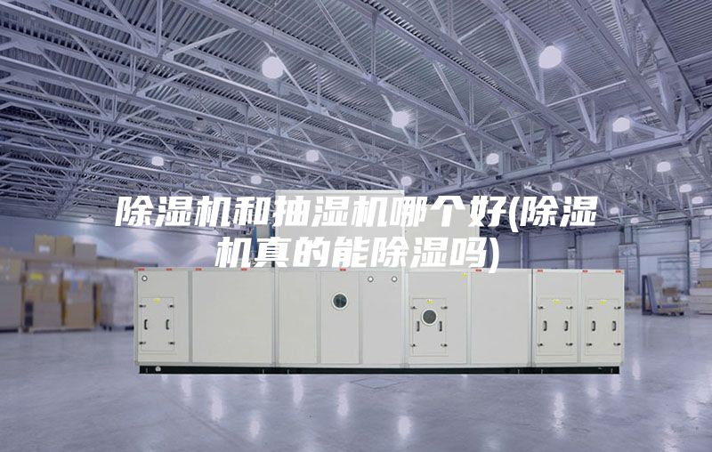 除濕機(jī)和抽濕機(jī)哪個好(除濕機(jī)真的能除濕嗎)