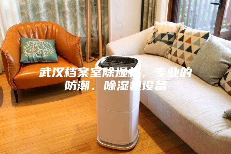 武漢檔案室除濕機，專業(yè)的防潮、除濕機設備