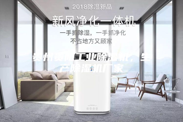 貴州貴陽工業除濕機，生產除濕機廠家