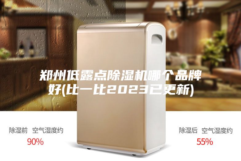 鄭州低露點(diǎn)除濕機(jī)哪個品牌好(比一比2023已更新)