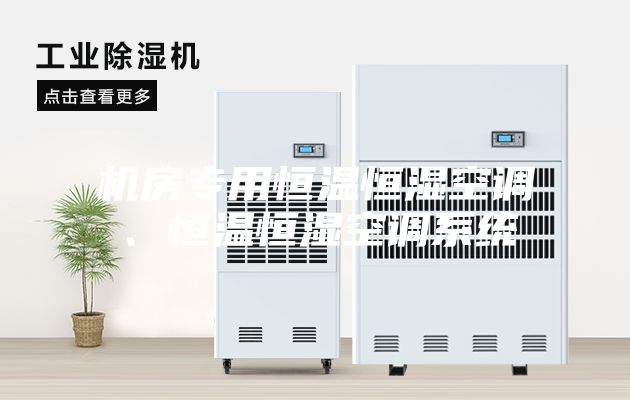 機房專用恒溫恒濕空調(diào)、恒溫恒濕空調(diào)系統(tǒng)