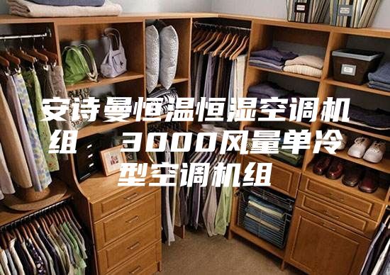 安詩曼恒溫恒濕空調(diào)機(jī)組  3000風(fēng)量單冷型空調(diào)機(jī)組