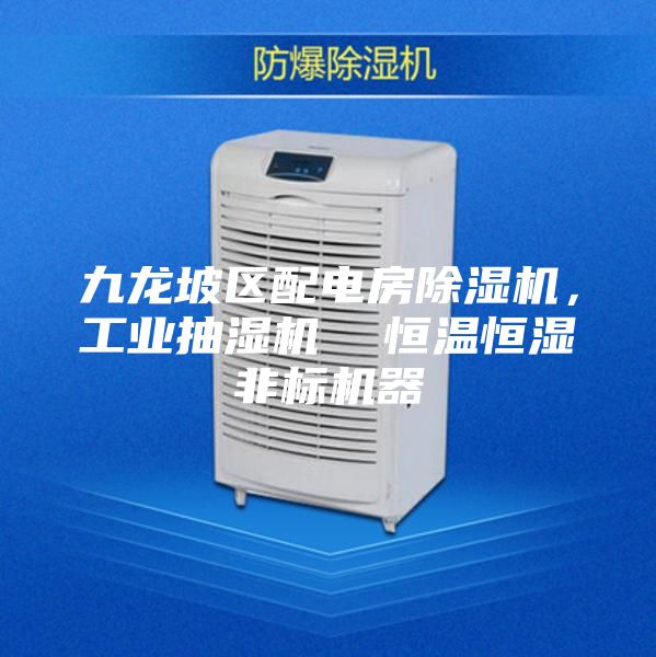九龍坡區(qū)配電房除濕機,工業(yè)抽濕機 恒溫恒濕非標機器
