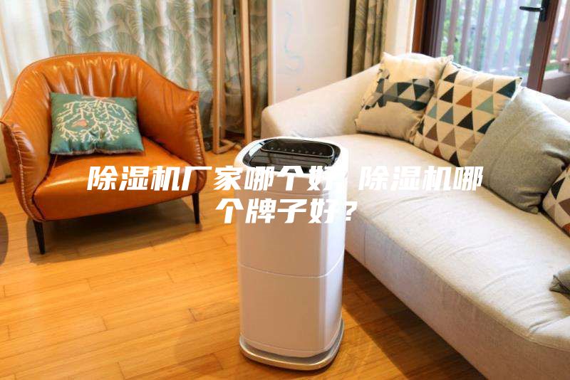 除濕機廠家哪個好 除濕機哪個牌子好？