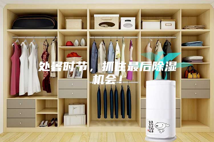 處暑時節，抓住最后除濕機會！