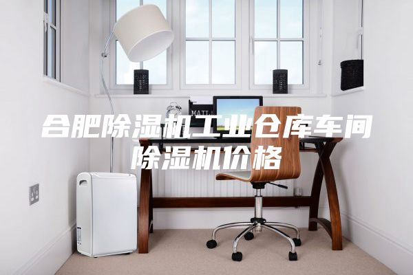 合肥除濕機(jī)工業(yè)倉(cāng)庫(kù)車間除濕機(jī)價(jià)格