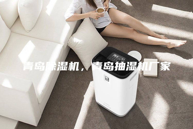 青島除濕機，青島抽濕機廠家