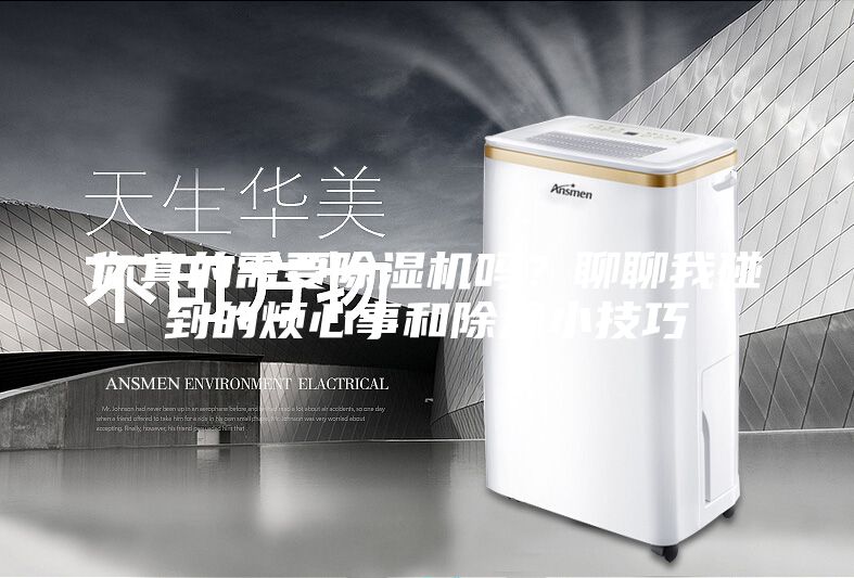 你真的需要除濕機嗎？聊聊我碰到的煩心事和除濕小技巧