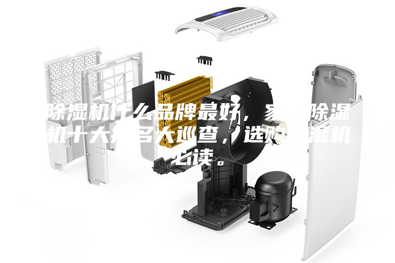 除濕機(jī)什么品牌最好，家用除濕機(jī)十大排名大巡查，選購除濕機(jī)必讀。
