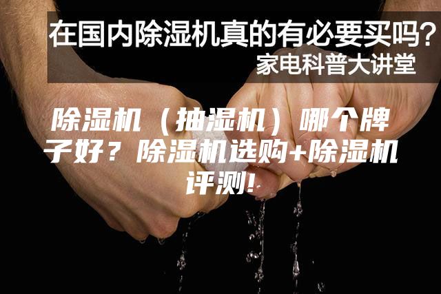 除濕機(jī)（抽濕機(jī)）哪個(gè)牌子好？除濕機(jī)選購(gòu)+除濕機(jī)評(píng)測(cè)!