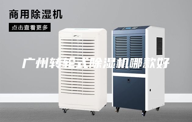 廣州轉(zhuǎn)輪式除濕機哪款好