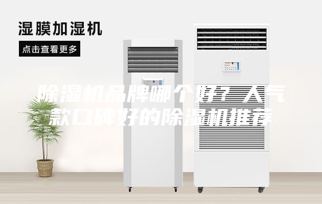 除濕機品牌哪個好?人氣款口碑好的除濕機推薦