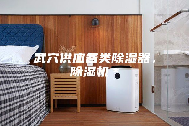 武穴供應各類除濕器，除濕機＊