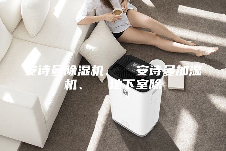 安詩曼除濕機(jī)、  安詩曼加濕機(jī)、  地下室除