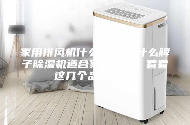 家用排風機什么牌子好(什么牌子除濕機適合家庭使用,看看這幾個品牌型號)