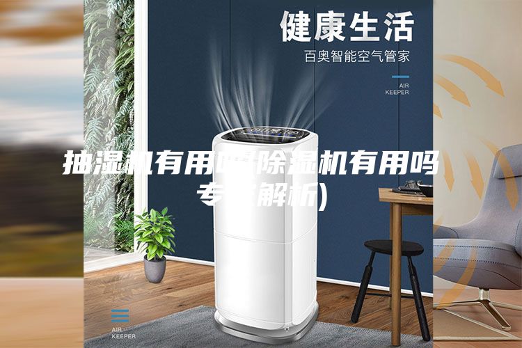 抽濕機(jī)有用嗎(除濕機(jī)有用嗎 專家解析)