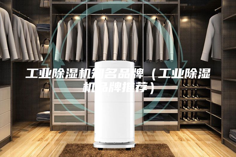 工業(yè)除濕機知名品牌(工業(yè)除濕機品牌推薦)