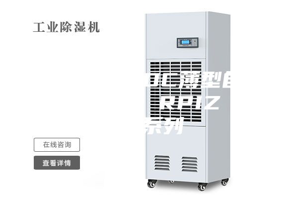 天花板內(nèi)置DC薄型自動除濕風管機 RPIZ（D）系列