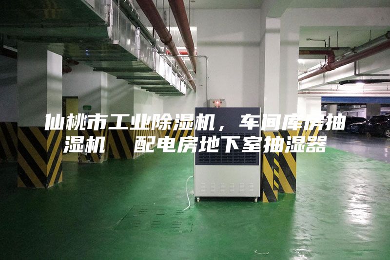 仙桃市工業除濕機，車間庫房抽濕機  配電房地下室抽濕器