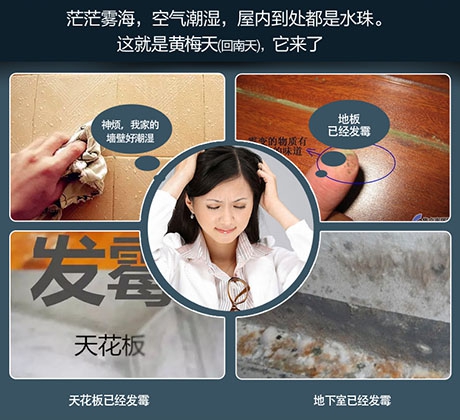 梅雨季，除濕機助你除潮去濕