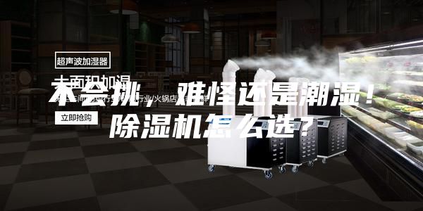 不會挑,難怪還是潮濕!除濕機怎么選?