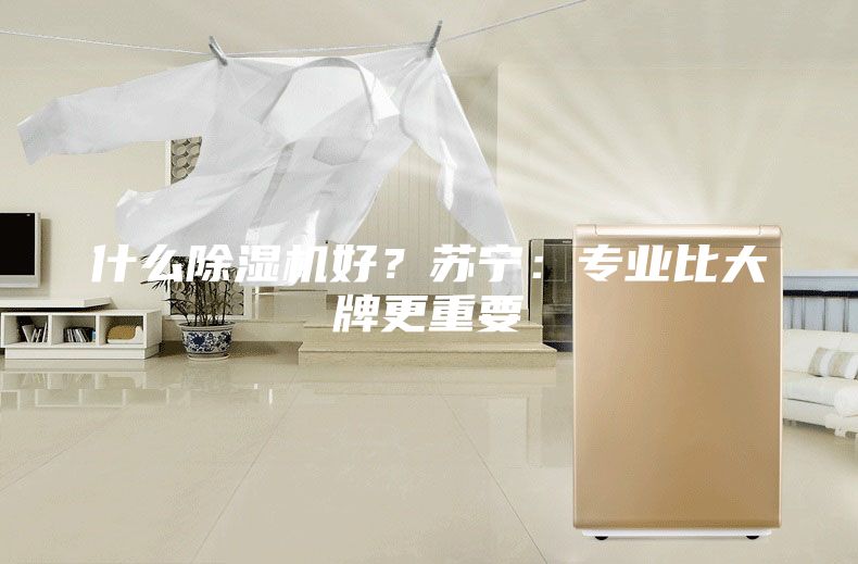 什么除濕機(jī)好？蘇寧：專業(yè)比大牌更重要