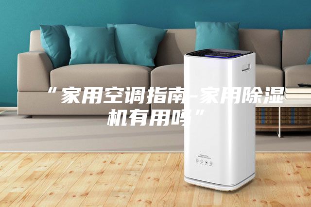 “家用空調(diào)指南-家用除濕機(jī)有用嗎”