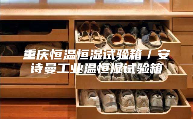 重慶恒溫恒濕試驗箱／安詩曼工業(yè)溫恒濕試驗箱