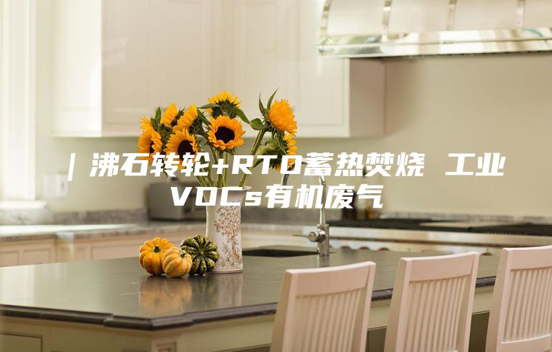 ｜沸石轉(zhuǎn)輪+RTO蓄熱焚燒 工業(yè)VOCs有機廢氣