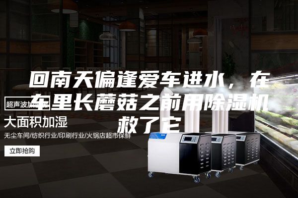 回南天偏逢愛車進(jìn)水,在車?yán)镩L(zhǎng)蘑菇之前用除濕機(jī)救了它