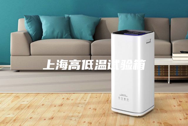 上海高低溫試驗(yàn)箱