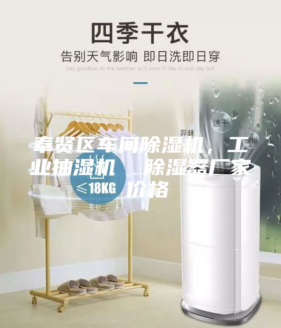 奉賢區(qū)車間除濕機，工業(yè)抽濕機  除濕器廠家 價格