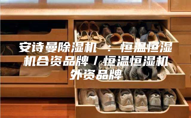 安詩曼除濕機 :恒溫恒濕機合資品牌/恒溫恒濕機外資品牌