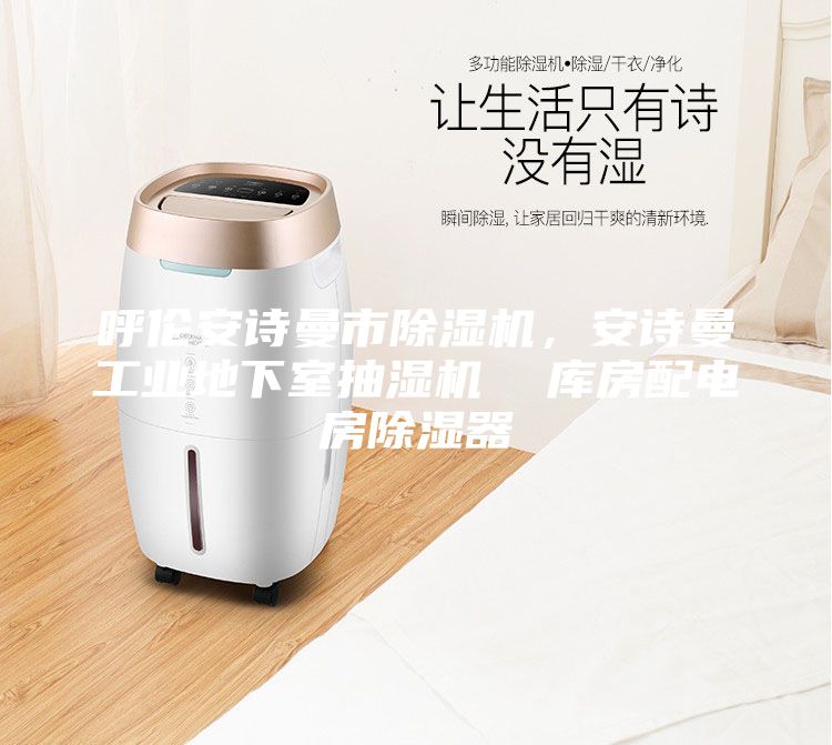 呼倫安詩曼市除濕機(jī)，安詩曼工業(yè)地下室抽濕機(jī)  庫房配電房除濕器