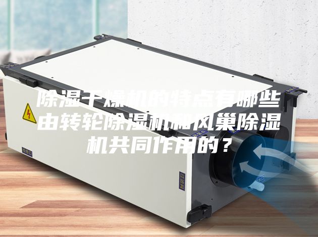 除濕干燥機的特點有哪些由轉輪除濕機和風巢除濕機共同作用的？