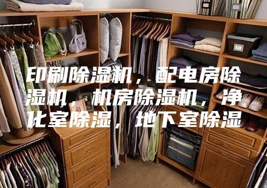 印刷除濕機,配電房除濕機,機房除濕機,凈化室除濕,地下室除濕