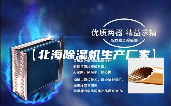【北海除濕機生產(chǎn)廠家】