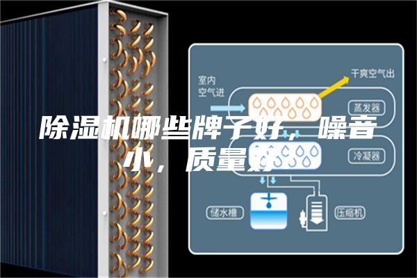 除濕機哪些牌子好，噪音小，質量好？