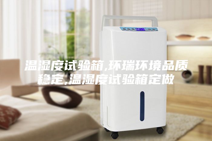 溫濕度試驗(yàn)箱,環(huán)瑞環(huán)境品質(zhì)穩(wěn)定,溫濕度試驗(yàn)箱定做