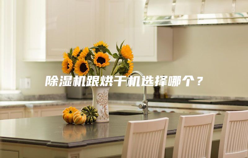 除濕機跟烘干機選擇哪個？