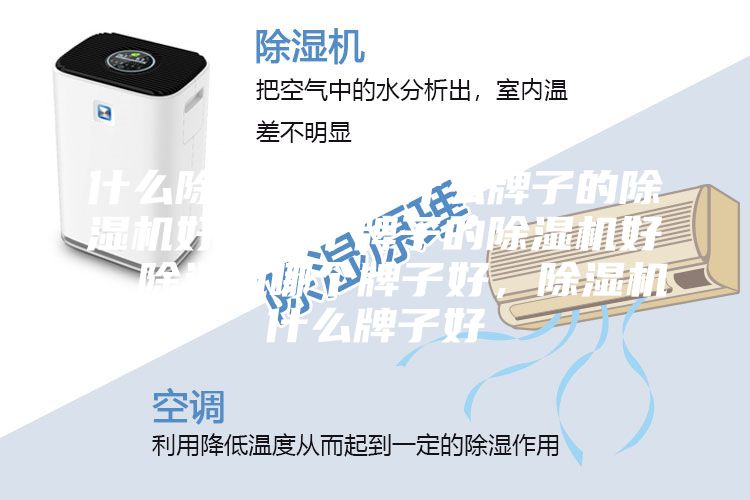 什么除濕機好，什么牌子的除濕機好，哪個牌子的除濕機好，除濕機哪個牌子好，除濕機什么牌子好