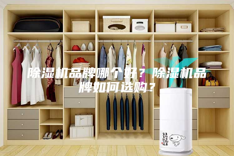 除濕機品牌哪個好?除濕機品牌如何選購?